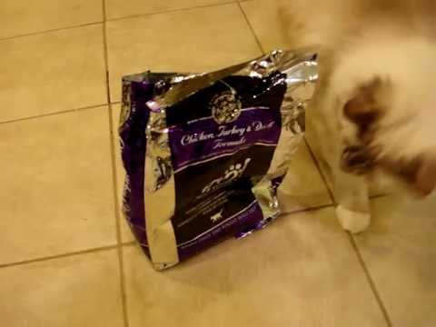 0 Go! Natural Chicken, Turkey & Duck Dry Formula   Floppycats.com Review
