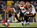 Cincinnati Bengals Tribute