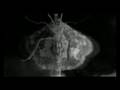另劇場二零零八重頭戲《核變》Nuclear Metamorphosis