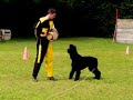 Evan training RingSport