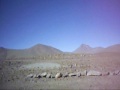 Salar de Pujsa e Monges de Lapacana