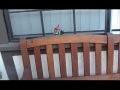 El Gnomo Que Viaja Verdadero [The Real Traveling Gnome]