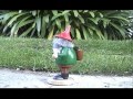El Gnomo Que Viaja Verdadero [The Real Traveling Gnome]