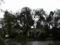 Hurricane Dolly From Raymondville Texas