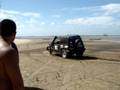 videos de Urso dando zerinho do mangue