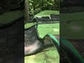 Show video