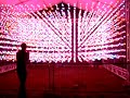 The Light Show