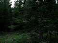 Boondocking at Seedhouse Campground