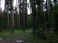 Boondocking at Seedhouse Campground