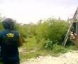 videos de asalto a la torre paintkillerz gotcha conkal
