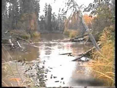 - Ханто.рф - Ханто.рф