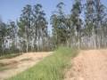 videos de Gui #969