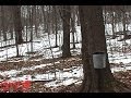 Stuck in Vermont 15: Maple Open House