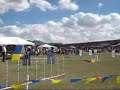 USDAA Agility Championships Quarter-finalist 2005