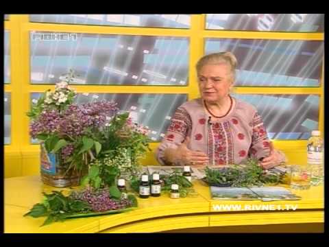 Чудодійні властивості кульбаби. Поради від Наталії Земної: лікування та нормалізація роботи печінки, нирок, шлунку