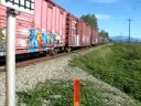 CP AC4400CW 9803 @ Mission BC 09/07/08 Mixed Freight