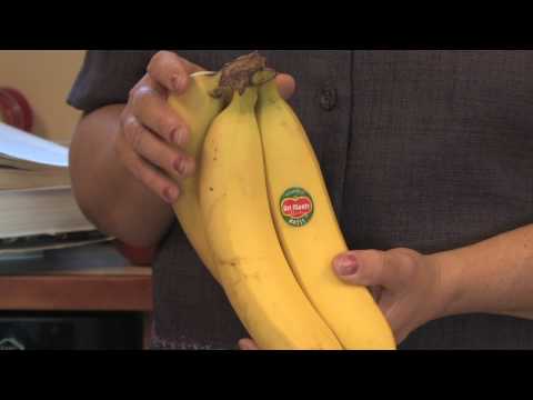 how to grow a banana tree