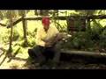 Ken's Alligators 03