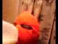videos de fat guy drinking milk