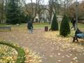 videos de saute poubelles