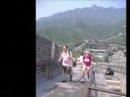TIPping the Great Wall