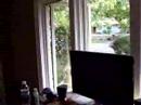 SupaCam LowRes