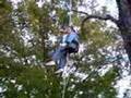 Erin Recreational Tree Climbing