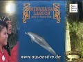 Minahasa Dive Resort Sulawesi - Bunanken