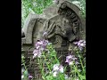 Ji?�n - Synagoga a ?idovsk� h?bitov