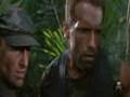 Team Predator