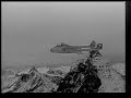 MEDITATION: white cross tail fins