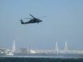 2008/10 国際航空宇宙展デモフライト:UH-60J。