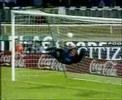 Scorpion - Best Goalkeeping Soccer