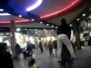 ^^**( tontos/globitop)**^^