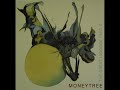 Fairylights Moneytree band