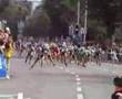 Zurich World inline Cup