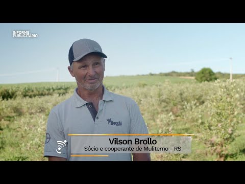 Família de Muliterno investe em irrigação e refrigeração para produção de mirtilos