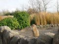Blijdorp met Jolie 16 november 2009