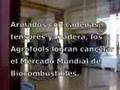 Acción en el Mercado Mundial de Biocombustibles