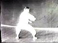 Kata: Sanseirui, por Kanei Uechi