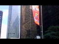 Monkey in a Concrete Jungle