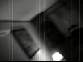dr heidelberg experiment 0406 2008 cideb
