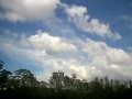 Model Plane