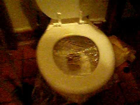 how to unclog kitty litter in a toilet