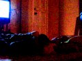 BEST ROOMMATE AIR HORN PRANK - PRANKS GONE WRONG