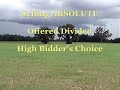 Absolute Florida Real Estate Auction and FL Land Auction Absolute Florida Real Estate Auction and FL Land Auction