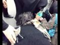 Iran-New Tehran,Basjij steal police car and run over woman.