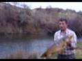 Sazan Bal��� avc�l�k her zaman oltaya b�yle Bal�k gelmez.