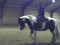 prisma 4a.wmv