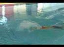 Total Immersion Butterfly Demo by Shinji Takeuchi